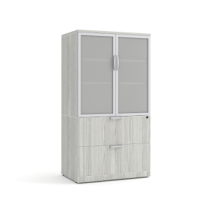 Storage and Filing Cabinet With Glass Doors