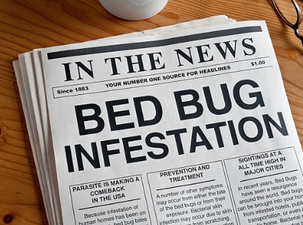 bed bug infestation news